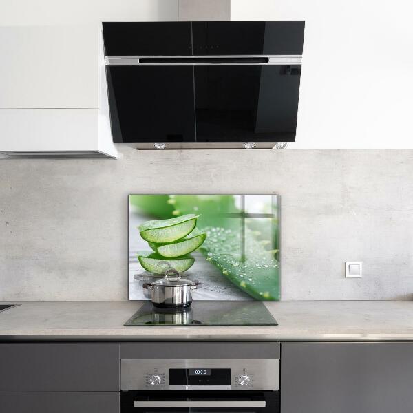 Skleněné obklady do kuchyně Aloe rostlina aloe vera