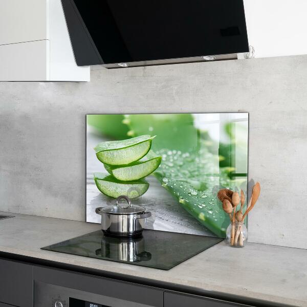 Skleněné obklady do kuchyně Aloe rostlina aloe vera