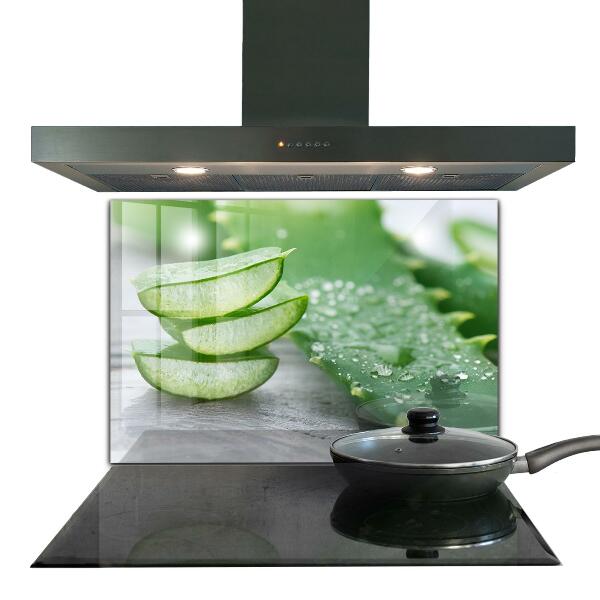 Skleněné obklady do kuchyně Aloe rostlina aloe vera