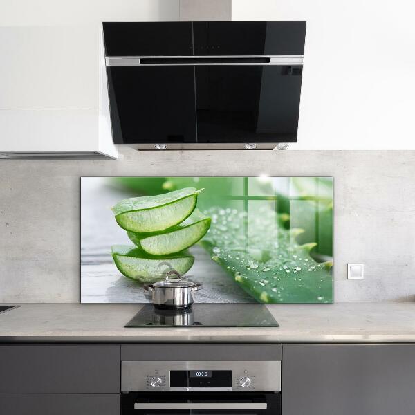 Skleněné obklady do kuchyně Aloe rostlina aloe vera