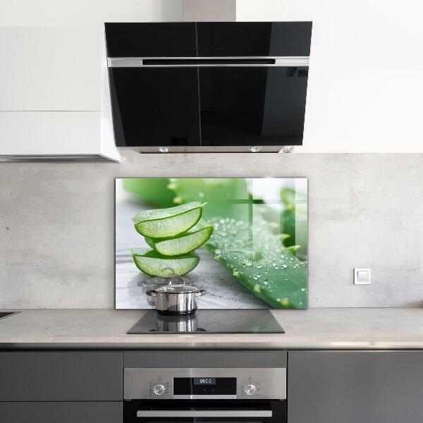 Skleněné obklady do kuchyně Aloe rostlina aloe vera