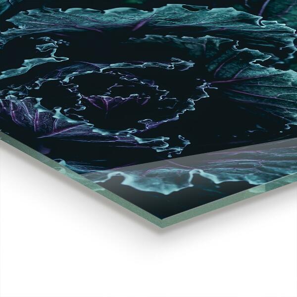 Skleněné obklady do kuchyně Listy zelí tmavě zelené