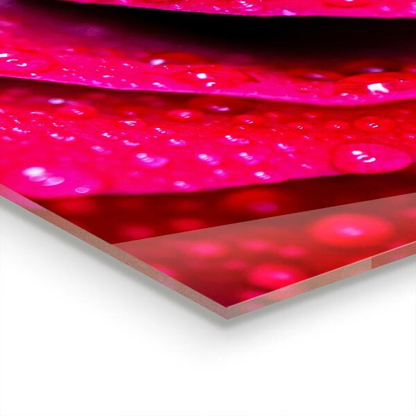 Skleněné obklady do kuchyně Růže symbol lásky