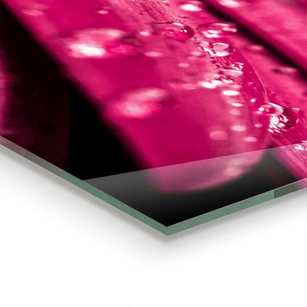 Skleněné obklady do kuchyně Růžový rostlinný květ