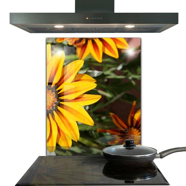 Skleněné obklady do kuchyně Žlutý květ na louce