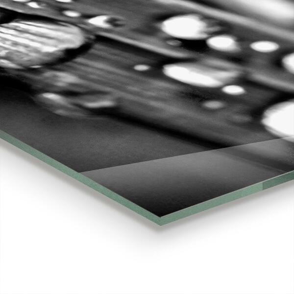 Skleněné obklady do kuchyně List rosa černá a bílá