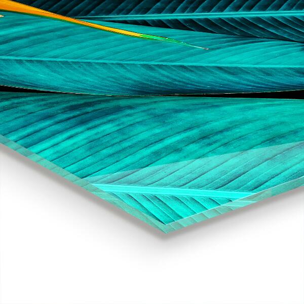 Skleněné obklady do kuchyně Tropická exotická květina