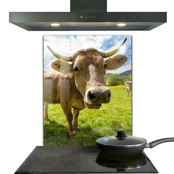 Skleněný panel Venkovské podnebí krowa pole