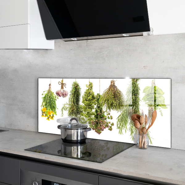 Skleněný panel Sušené byliny bylinný lék