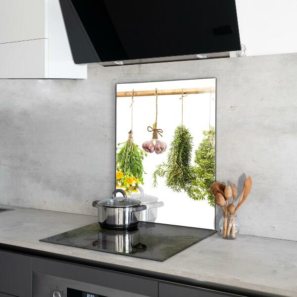 Skleněný panel Sušené byliny bylinný lék