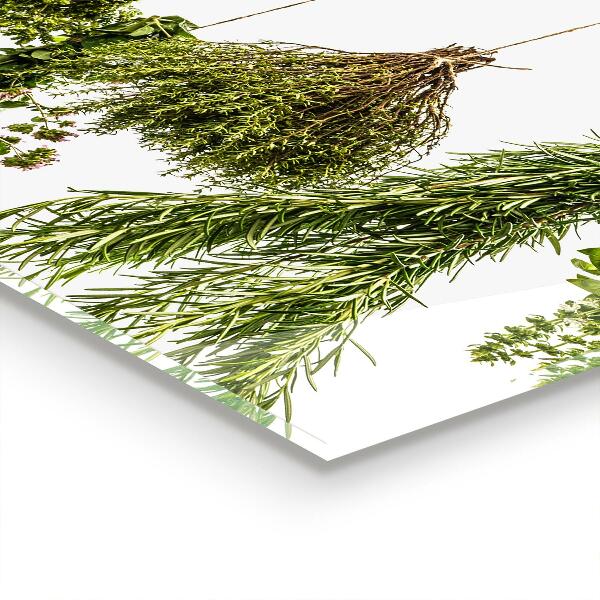 Skleněný panel Sušené byliny bylinný lék