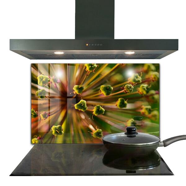 Skleněné obklady do kuchyně Makro fotografie květin