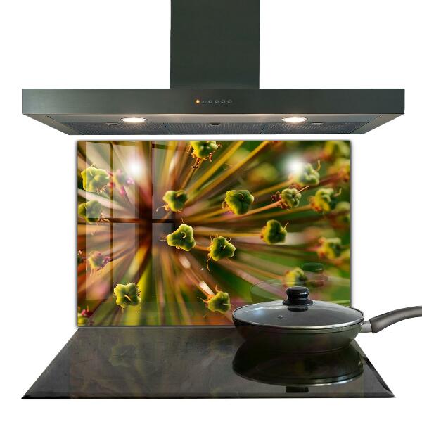 Skleněné obklady do kuchyně Makro fotografie květin