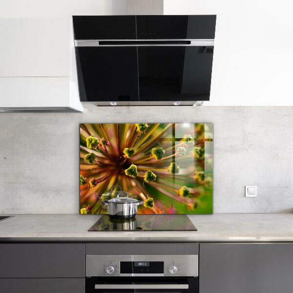 Skleněné obklady do kuchyně Makro fotografie květin