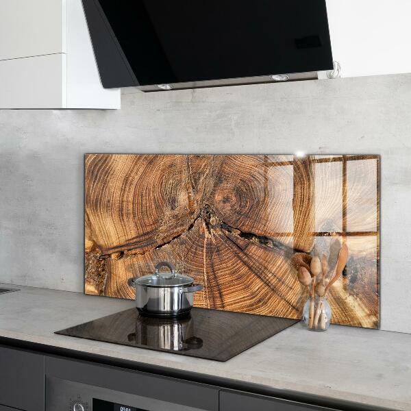 Kuchyňský skleněný panel Textura kufru