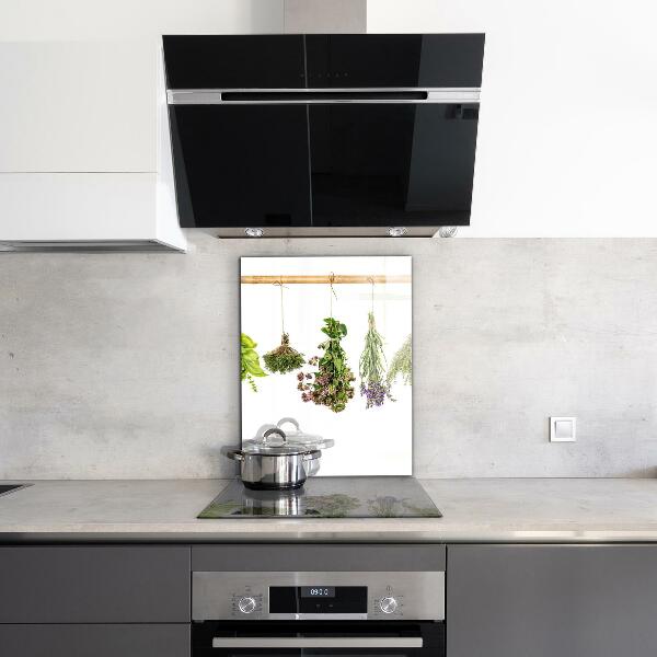 Skleněný panel Sušené bylinky zdravá strava