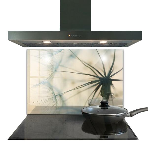 Skleněné obklady do kuchyně Krásná jemná pampeliška