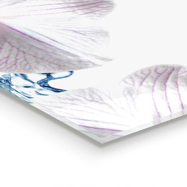 Skleněné obklady do kuchyně Orchidej postříkaná vodou