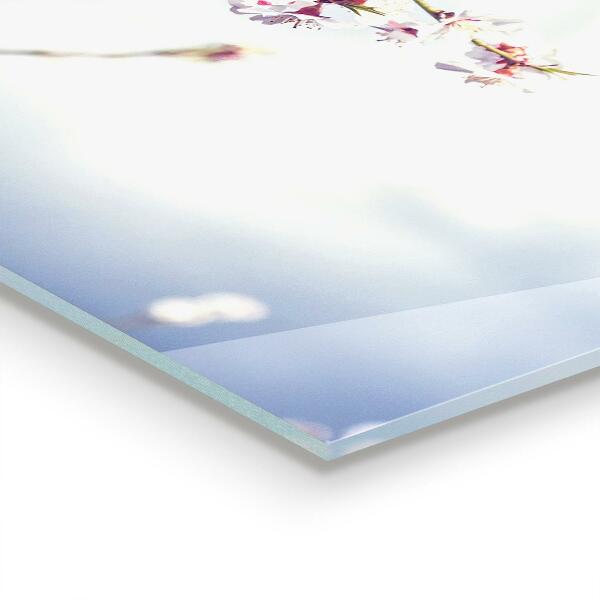 Skleněné obklady do kuchyně Jemné růžové květy