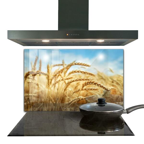 Skleněné obklady do kuchyně Obilné dary matky přírody