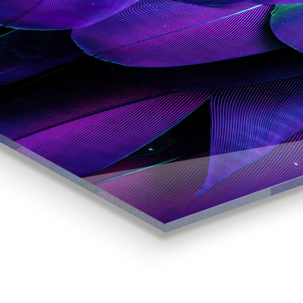 Kuchyňský skleněný panel Exotické ptačí peří