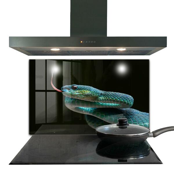 Skleněný panel Snake wildlife