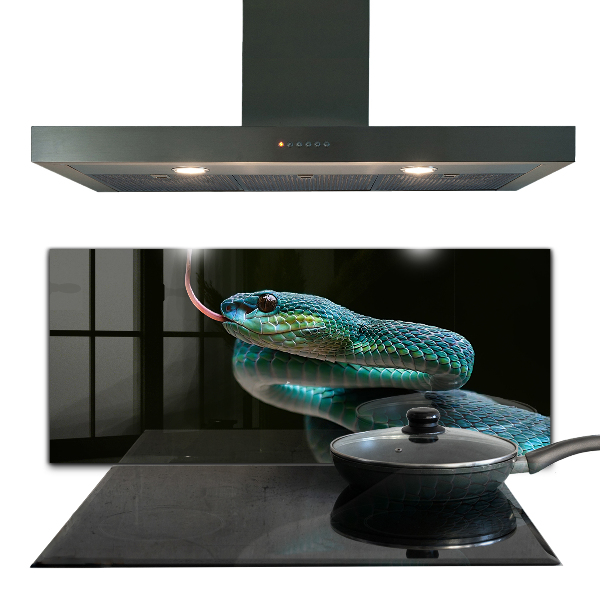 Skleněný panel Snake wildlife