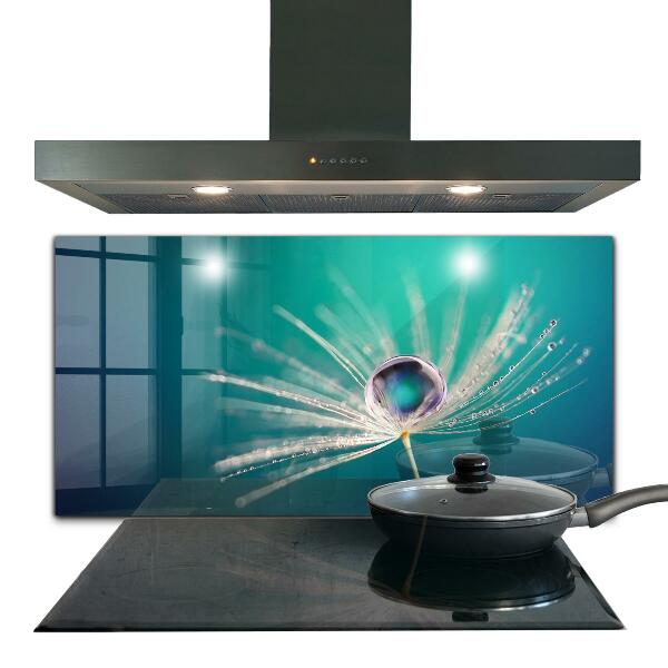 Skleněný panel Pampeliška s kapkou rosy