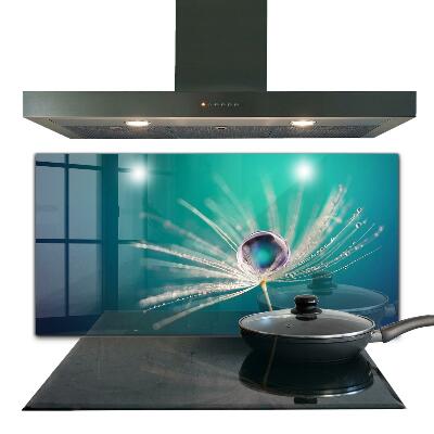 Skleněný panel Pampeliška s kapkou rosy