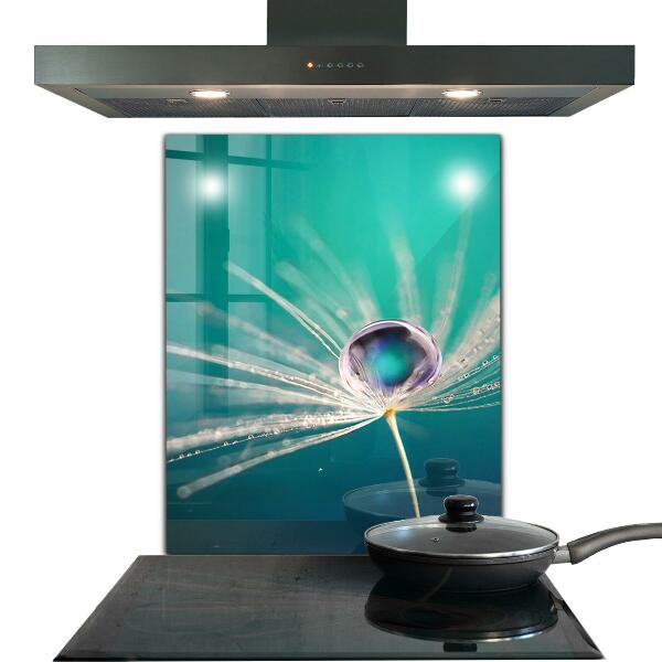 Skleněný panel Pampeliška s kapkou rosy