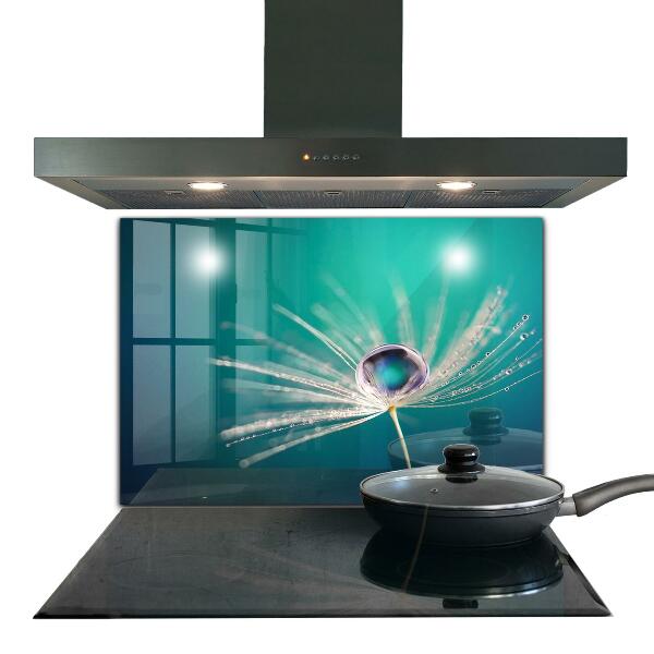 Skleněný panel Pampeliška s kapkou rosy