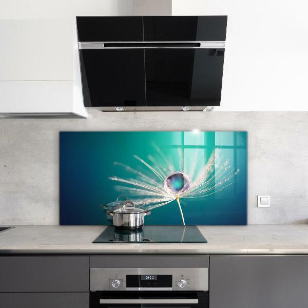 Skleněný panel Pampeliška s kapkou rosy