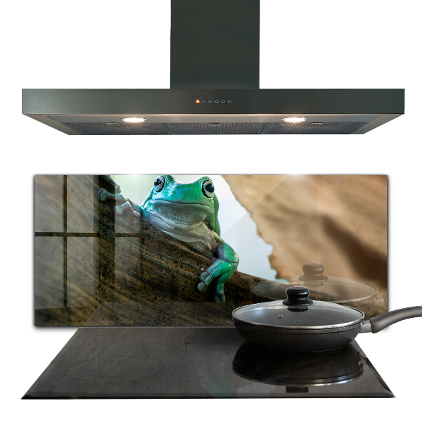 Skleněný panel Portrét africké žáby