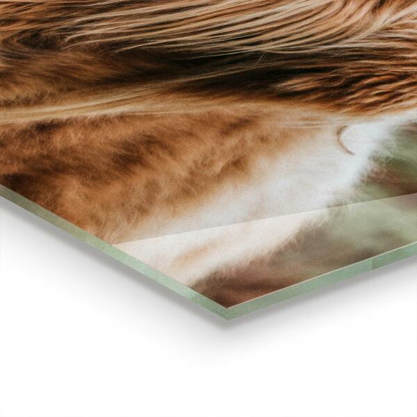 Skleněný panel Kráva ve stylu highland cottage