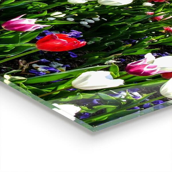 Skleněný panel Luční letní květiny