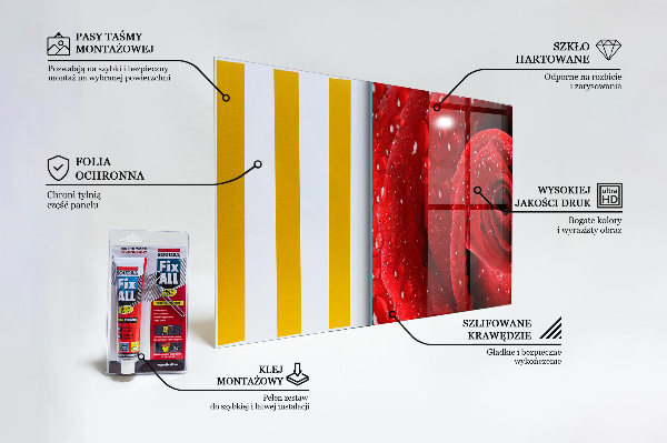 Skleněný panel Kapky rosy na červené růži