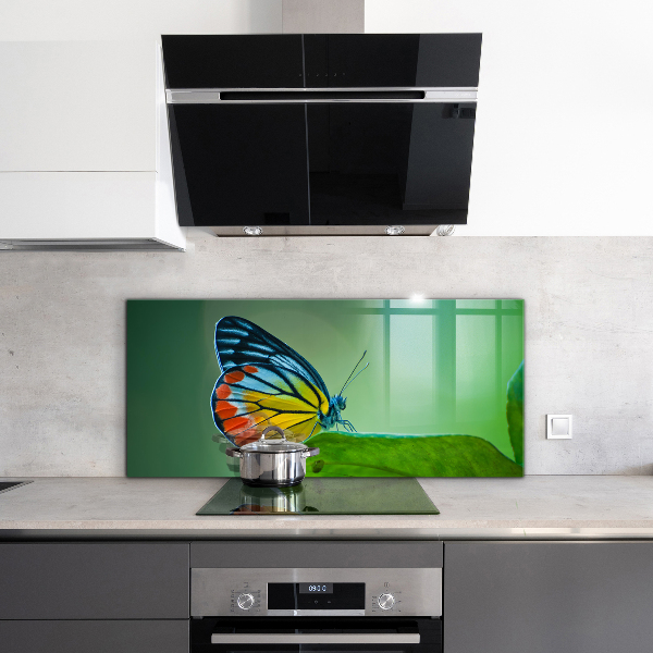 Skleněný panel Motýl na listu