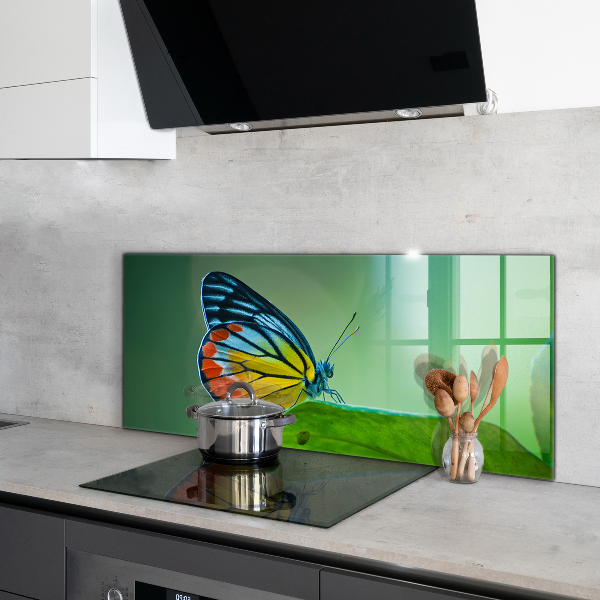 Skleněný panel Motýl na listu