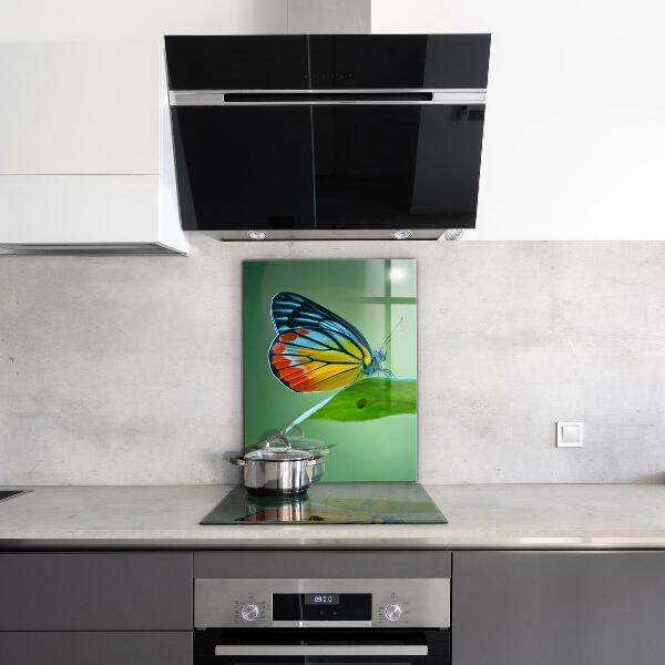 Skleněný panel Motýl na listu