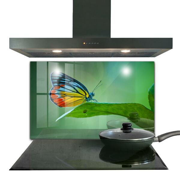 Skleněný panel Motýl na listu