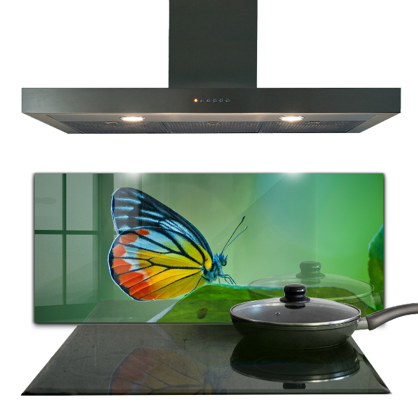 Skleněný panel Motýl na listu