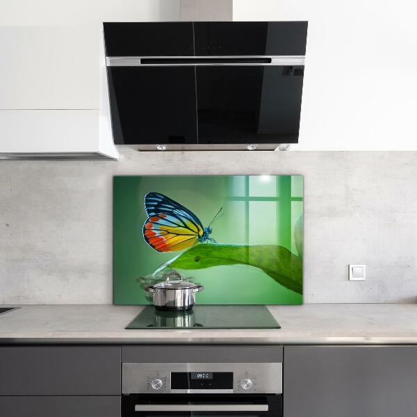 Skleněný panel Motýl na listu