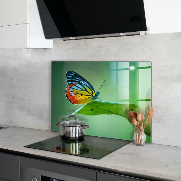 Skleněný panel Motýl na listu