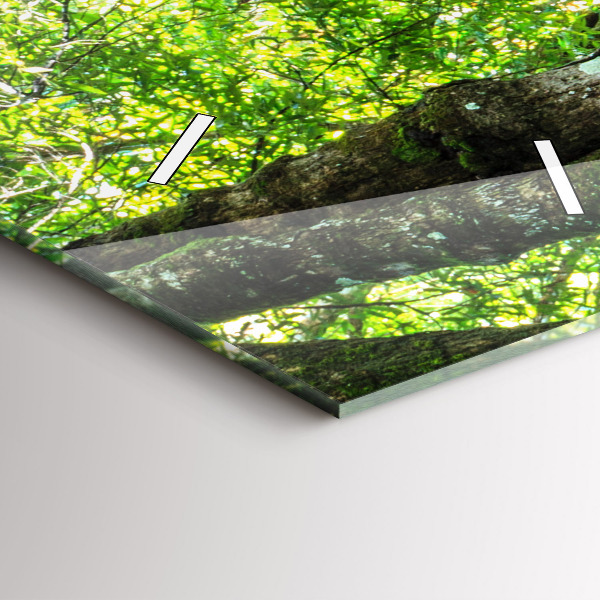 Vertikální skleněné hodiny Vodopád v lese