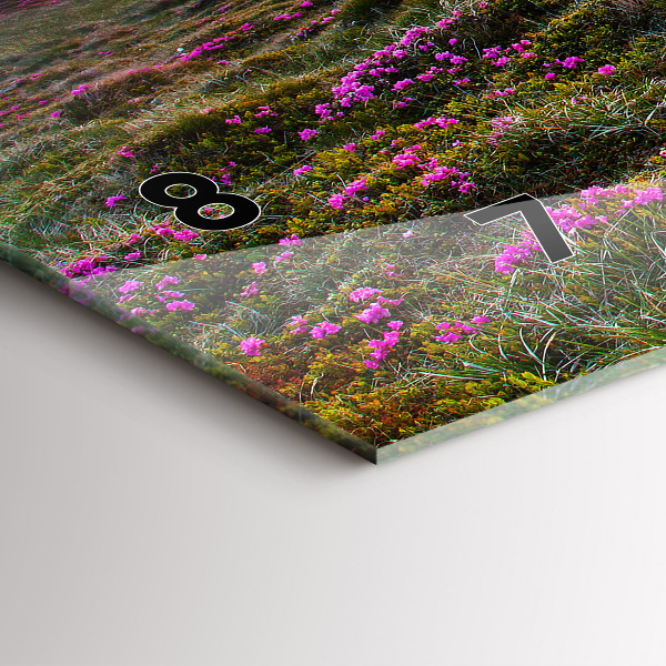 Horizontální hodiny na skle Květiny při východu slunce