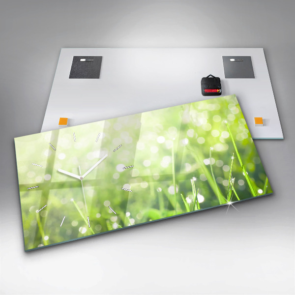Horizontální hodiny na skle Zelená tráva