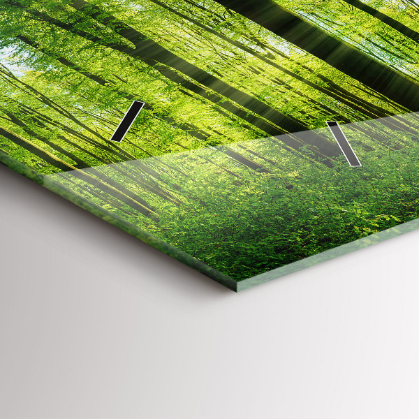 Horizontální hodiny na skle Příroda lesní stromy