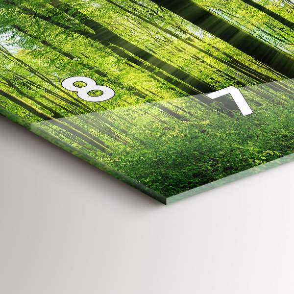 Horizontální hodiny na skle Příroda lesní stromy