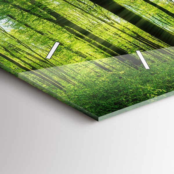 Horizontální hodiny na skle Příroda lesní stromy