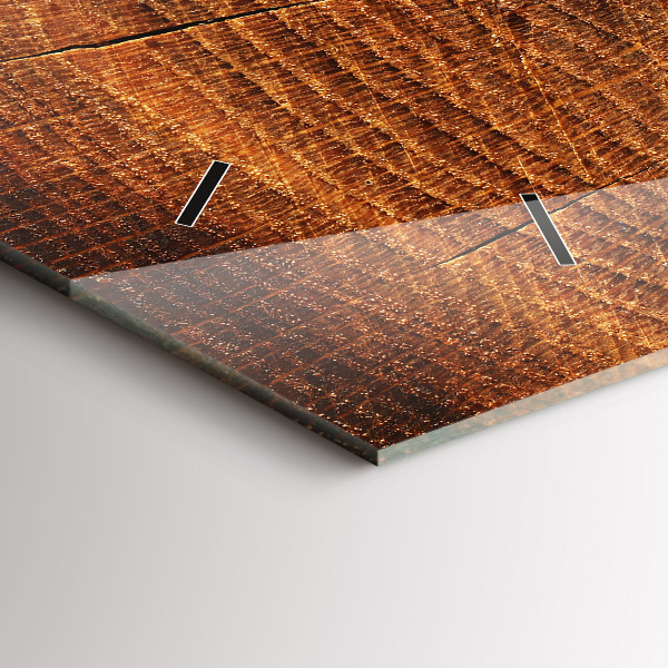 Horizontální hodiny na skle Kmen starého stromu